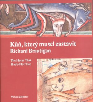 Kůň, který musel zastavit
